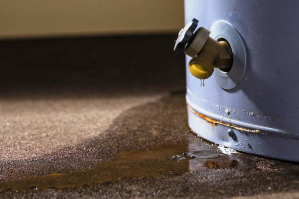 Best Local water damage restoration  in Desert View Highlands, CA