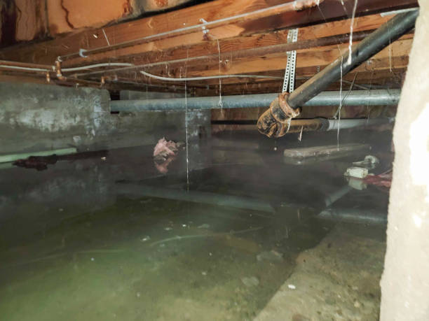Best Commercial water damage restoration  in Desert View Highlands, CA