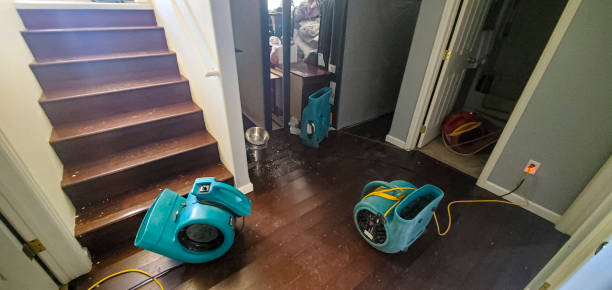 Best 24/7 water damage repair  in Desert View Highlands, CA