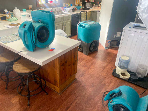 Best Flood damage cleanup  in Desert View Highlands, CA