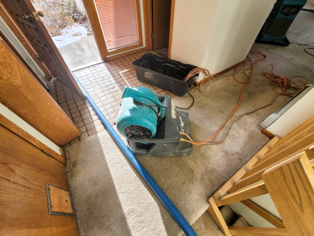 Best 24-hour water damage restoration  in Desert View Highlands, CA