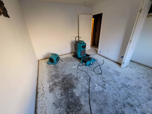Best Emergency water damage restoration  in Desert View Highlands, CA