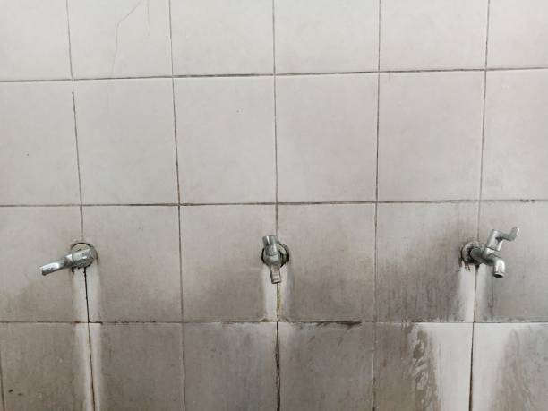 Best Fire Damage Restoration  in Desert View Highlands, CA