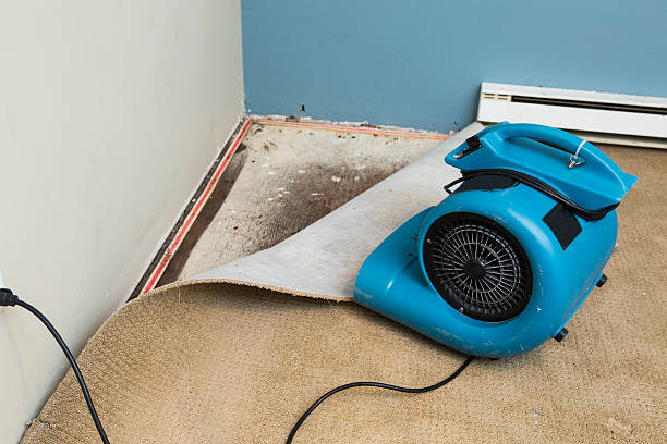 Best Water damage restoration near me  in Desert View Highlands, CA